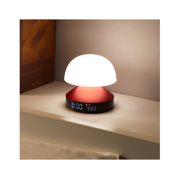 image THE PERFECT BEDSIDE COMPANION